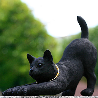 竹炭の日本猫（のび）