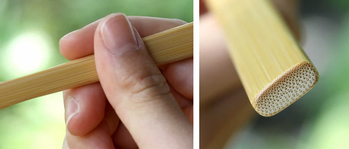 竹表皮,楕円形