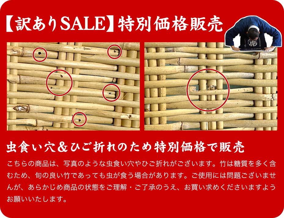 【訳ありSALE 虫食い穴あり】奇跡のスズ竹丸ざる