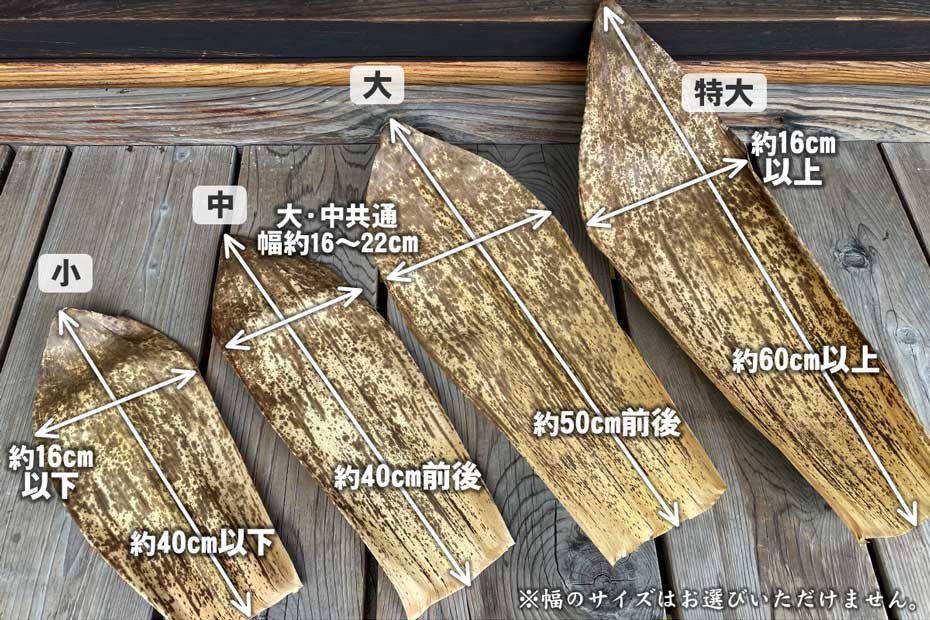 国産竹皮のサイズ
