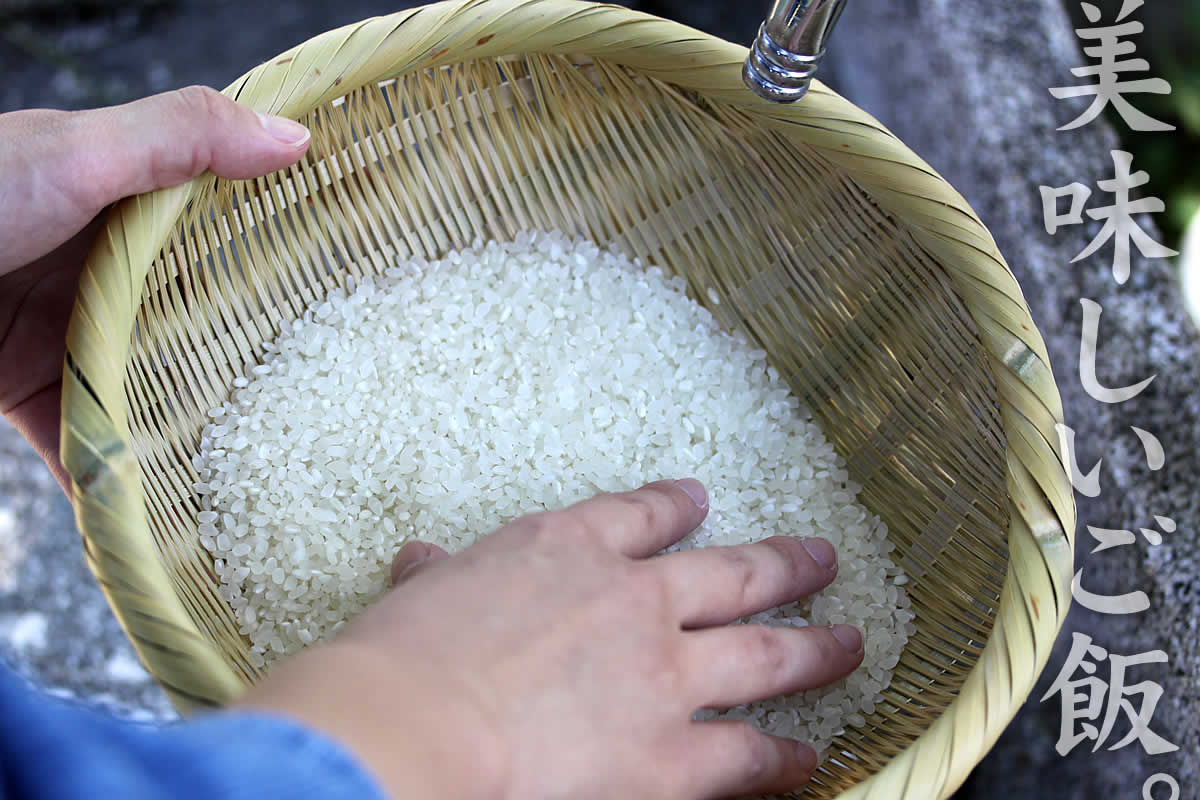 毎日の暮らしにあった伝統の竹笊、美味しいご飯が炊ける米とぎざる（3合用）