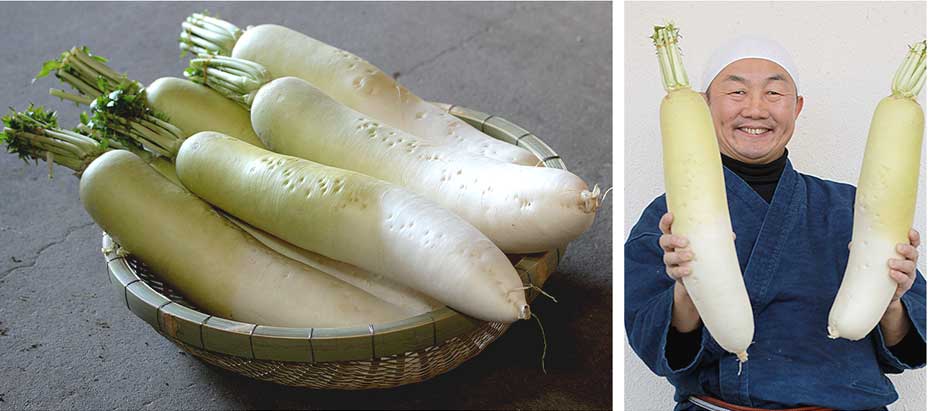 深竹丸ざるは、重たく大きな野菜も一度にたくさん運べます