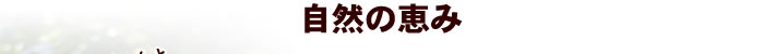 自然の恵み