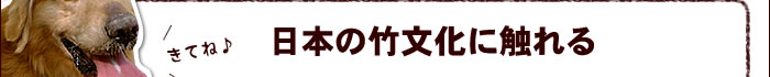 日本の竹文化に触れる