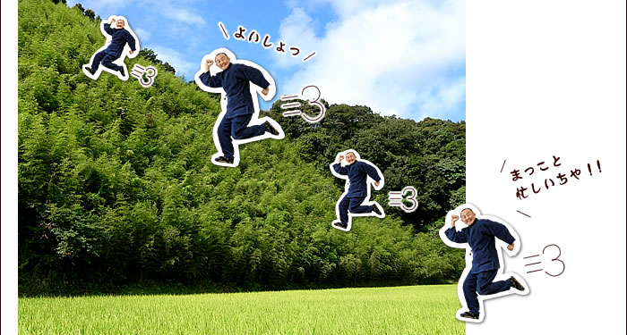 まっこと忙しいちや!!