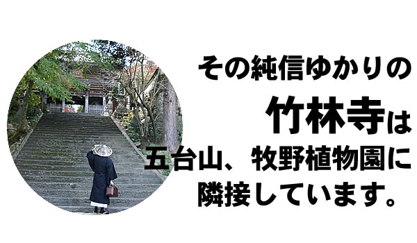 純信ゆかりの竹林寺