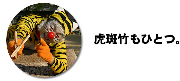虎斑竹もひとつ。