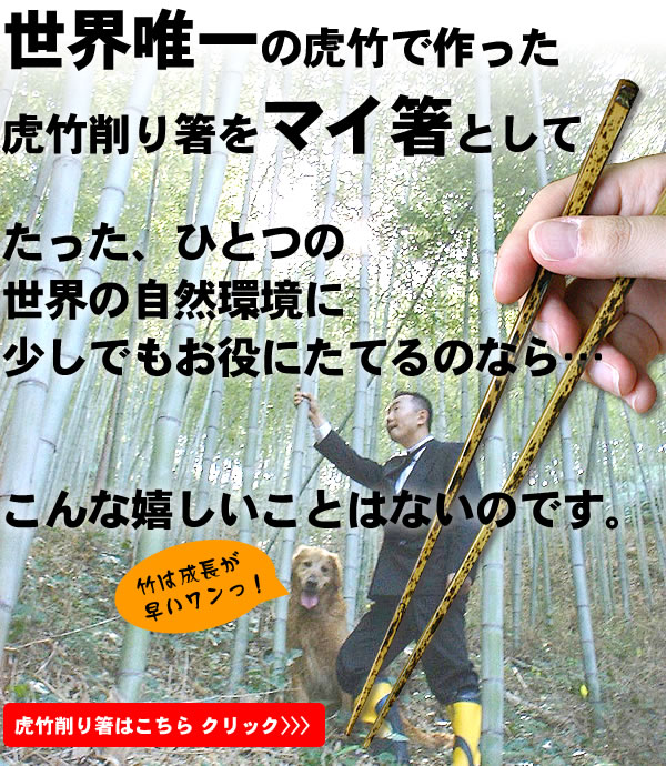虎竹削り箸