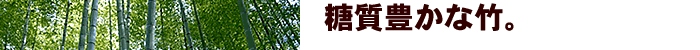糖質豊かな竹。