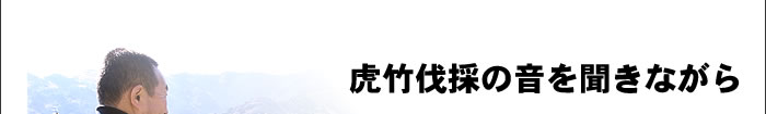 虎竹伐採の音を聞きながら