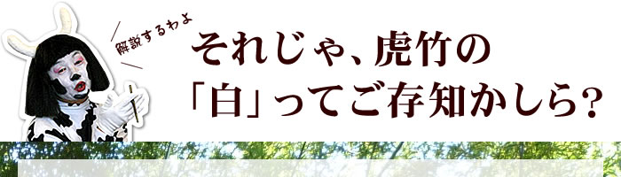 それじゃ、虎竹の「白」ってご存知かしら?