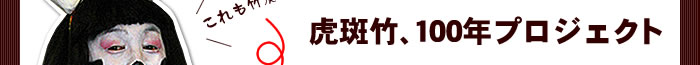 虎斑竹、100年プロジェクト