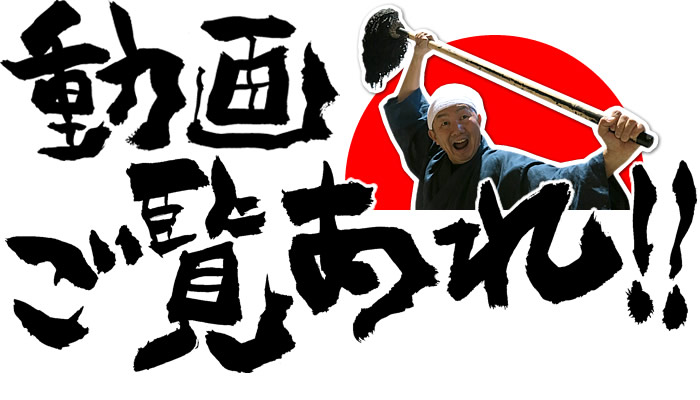 動画ご覧あれ!