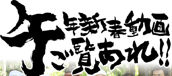 午年新春動画ご覧あれ!!