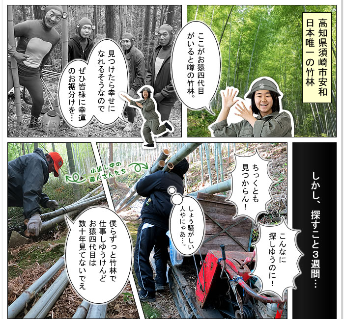 竹虎2016