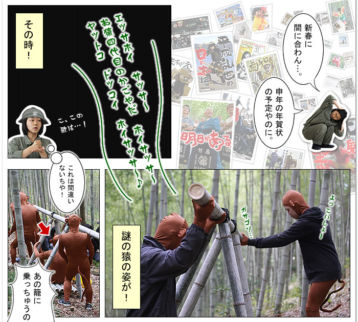 竹虎2016