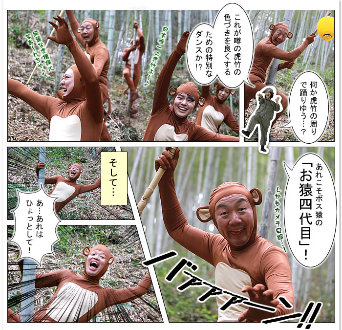 竹虎2016