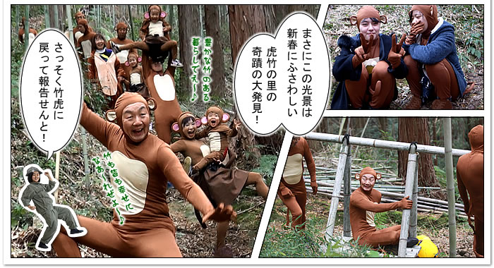 竹虎2016