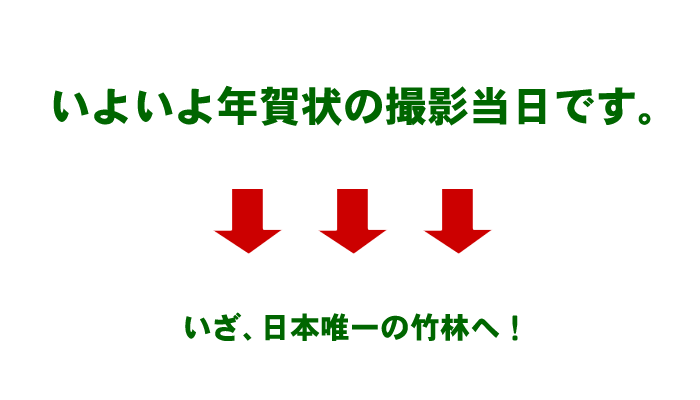 いざ、日本唯一の竹林へ!