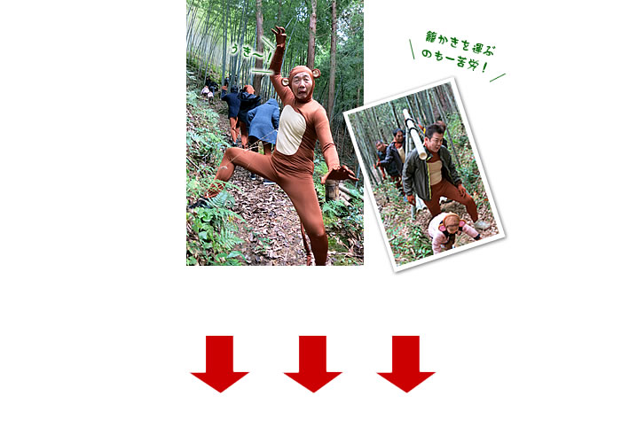 いざ、日本唯一の竹林へ!