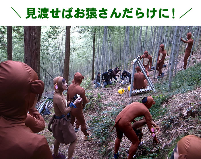 見渡せばお猿さんだらけに!