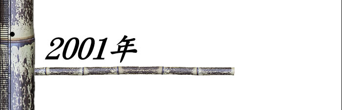 2001年