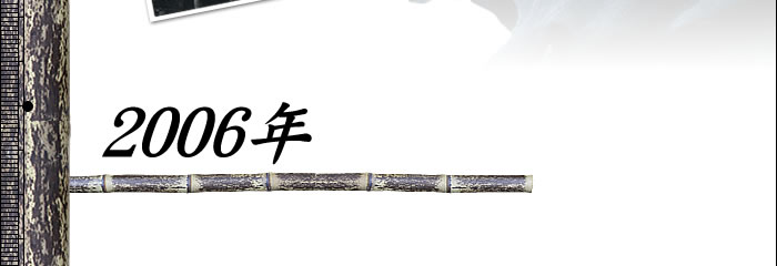 2006年