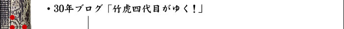 30年ブログ