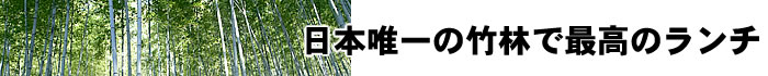 日本唯一の竹林で最高のランチ