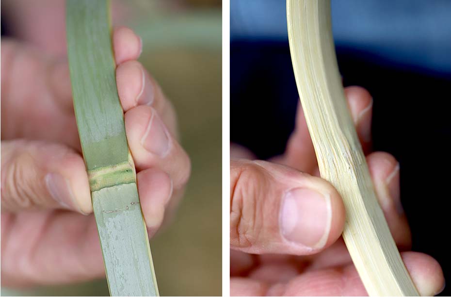 真竹温泉かご(湯カゴ)足付きの工夫された持ち手