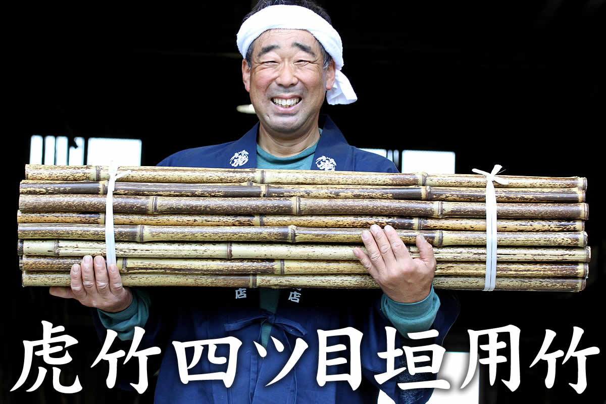 四ツ目垣用の日本唯一の虎竹材です