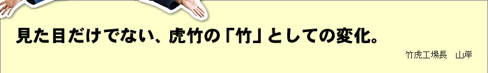 見た目だけでない、虎竹の「竹」としての変化。