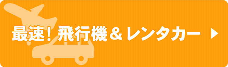 飛行機とレンタカーでのアクセス