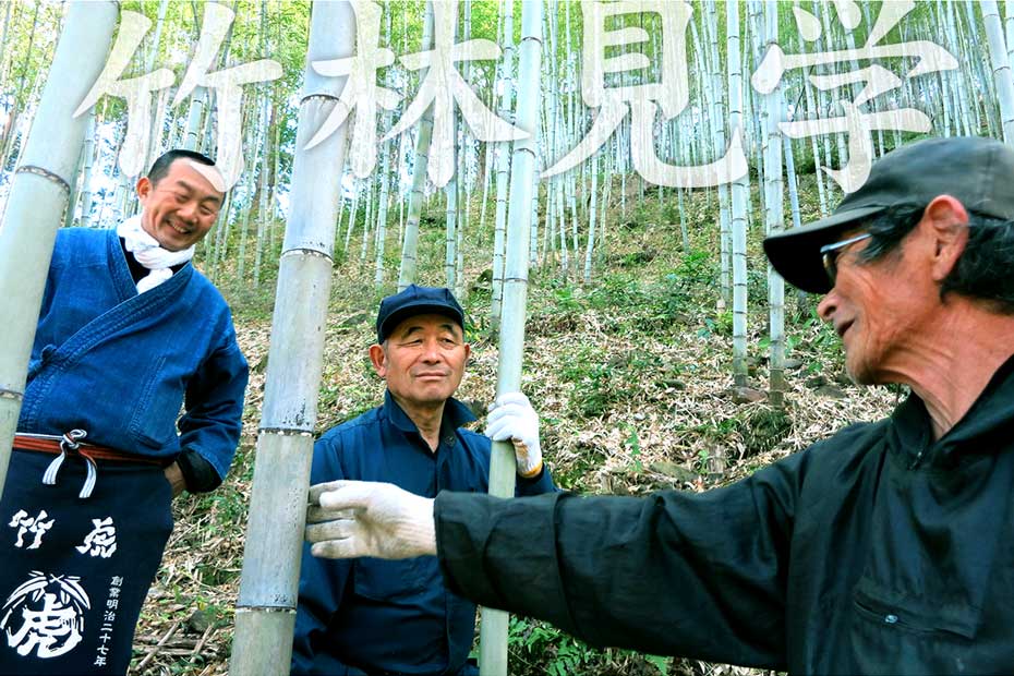 竹林見学