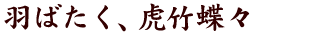 羽ばたく、虎竹蝶々