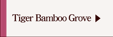 Tiger Bamboo Grove