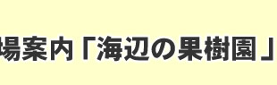 会場案内「海辺の果樹園」