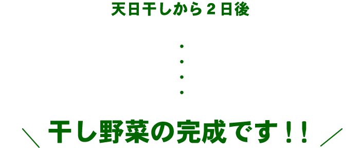天日干しから2日後
