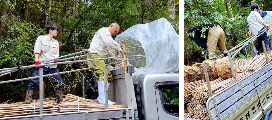 トラックで虎斑竹を牧野植物園へ移動