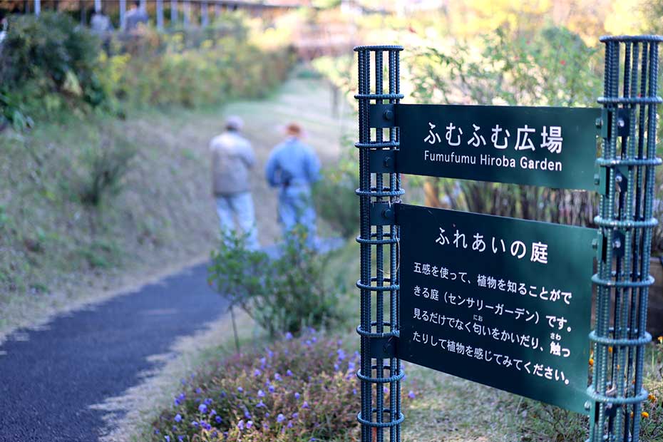 牧野植物園ふれあいの庭ふむふむ広場