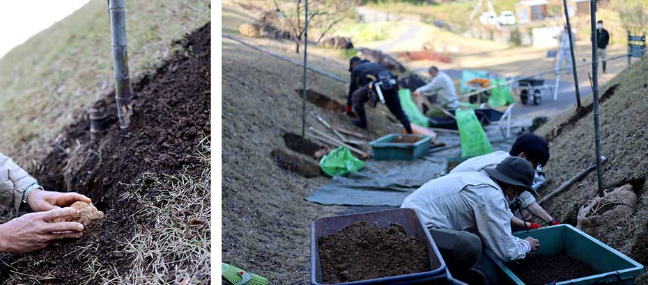 牧野植物園へ虎竹植え付け