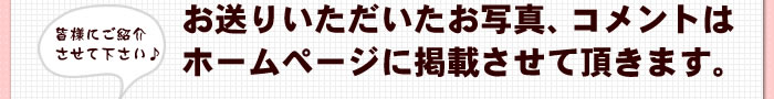 ホームページに掲載させていただきます