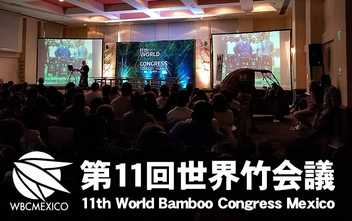 第11回世界竹会議(11th World Bamboo Congress Mexico)