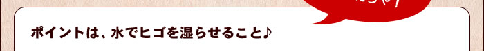 ポイントは、水でヒゴを湿らせること