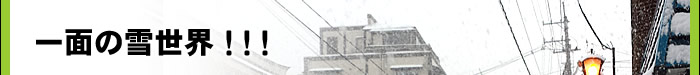一面の雪世界!!!