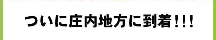 ついに庄内地方に到着!!!