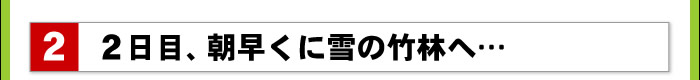 2日目、朝早くに雪の竹林へ...