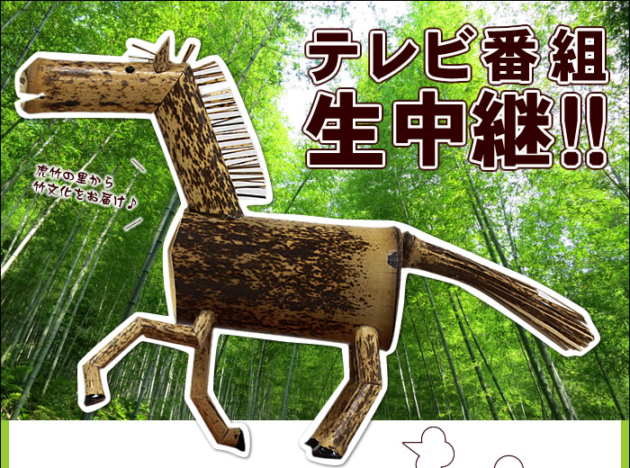 テレビ番組生中継
