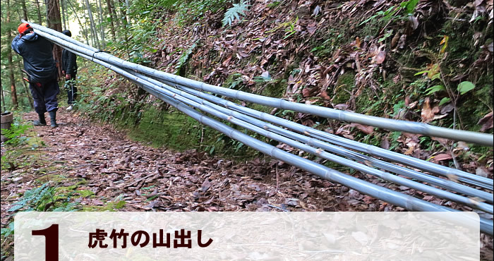 虎竹の山出し