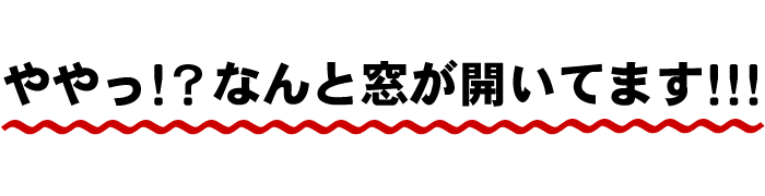 ややっ!?なんと窓が開いてます!!!